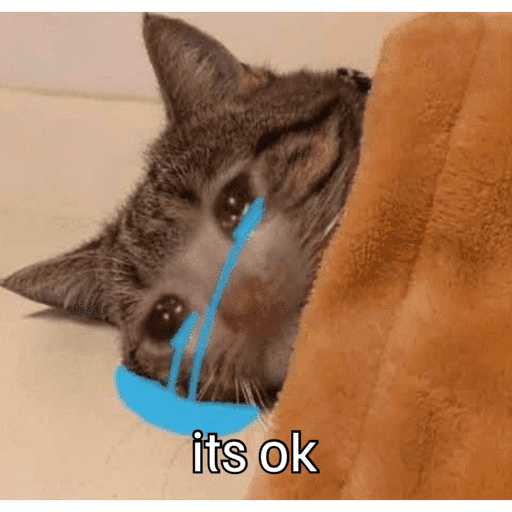 Sad cat 