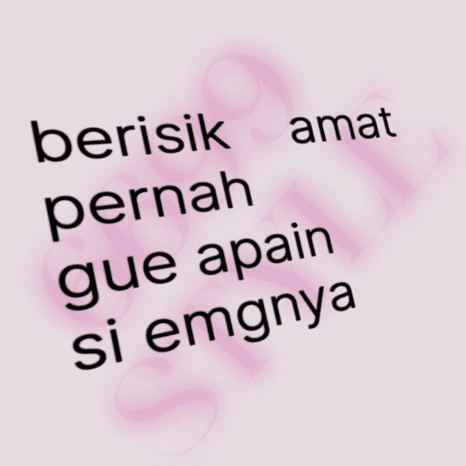 Princess 11