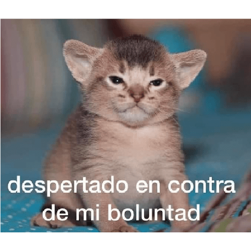 Varios 2