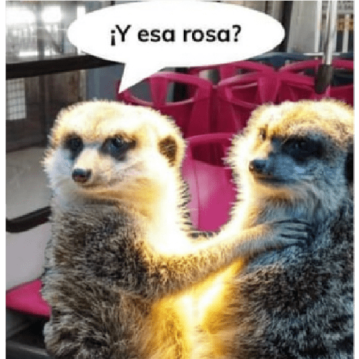 Varios 24