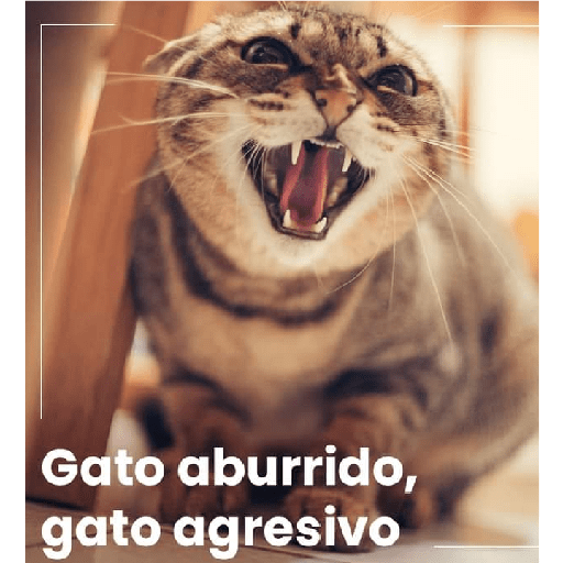 Varios 9