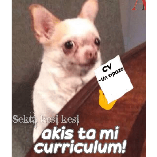 Varios 25