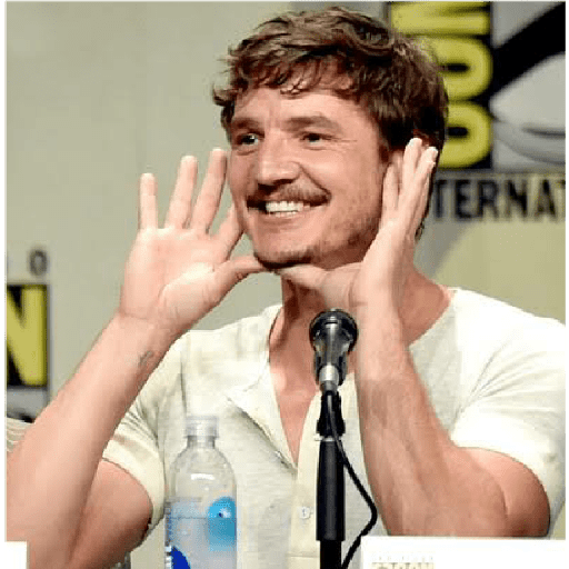 Pedro Pascal 28