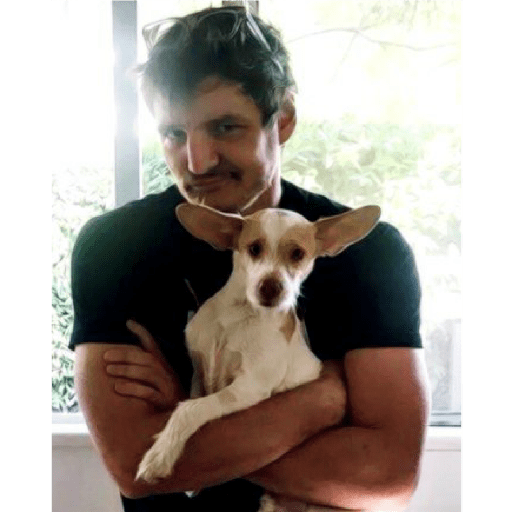 Pedro Pascal 21