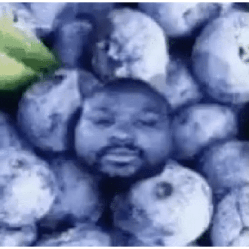 Shitpost refritangas 14