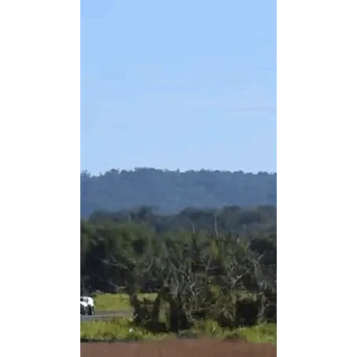 Jejejeje 22
