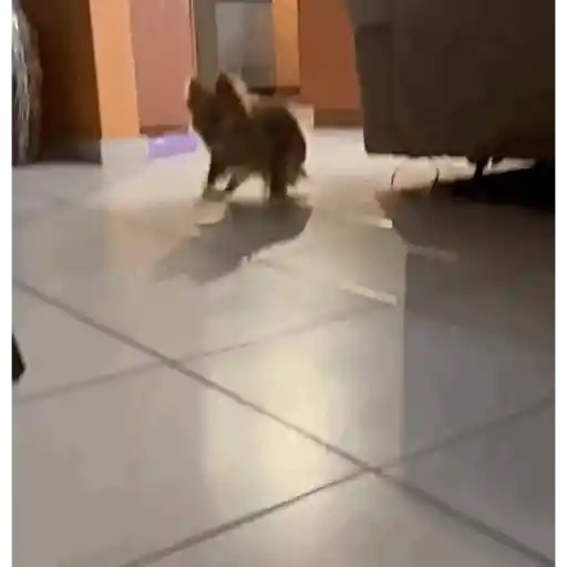 Jejejeje 29