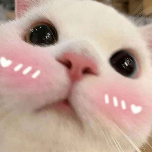 Cute 11