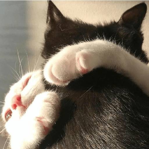 Cute 6