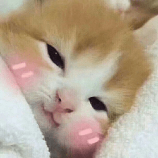 Cute 12