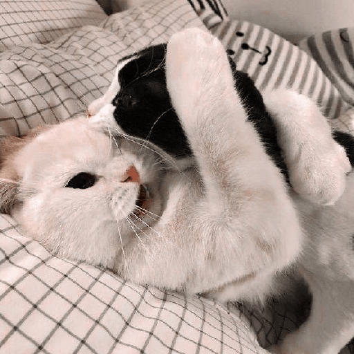 Cute 5