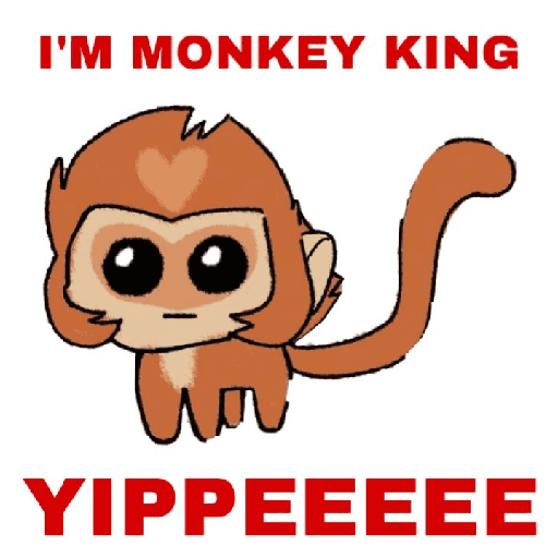 Monkie kid 27