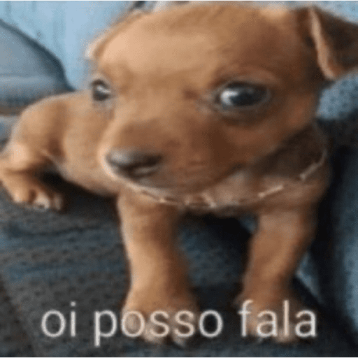 Sophia, não pegue  8