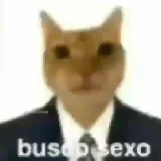 Lover 25