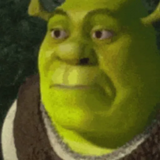 SHREK MEMES