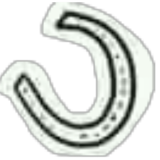 Through the life 9