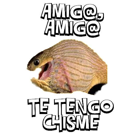 #2 del 2023 1