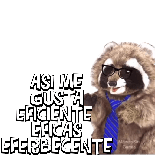 #2 del 2023 6