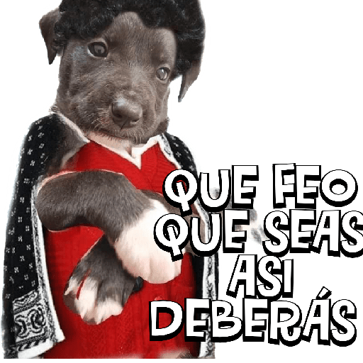 #2 del 2023 11