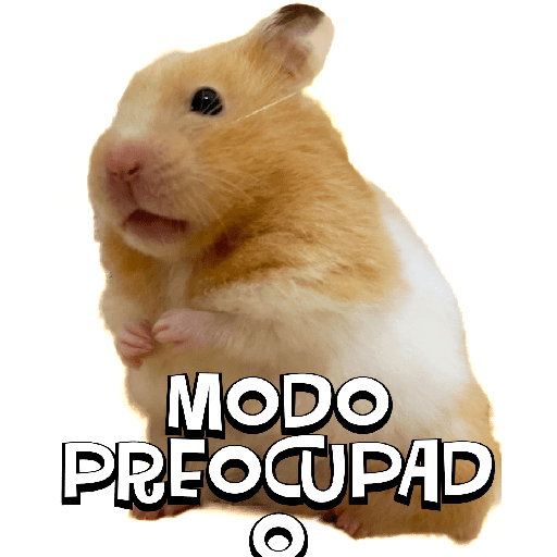 #2 del 2023 9