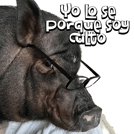 #2 del 2023 5