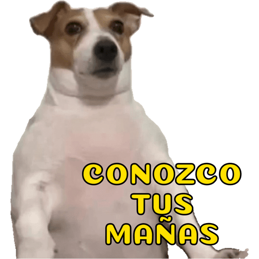 #2 del 2023 24