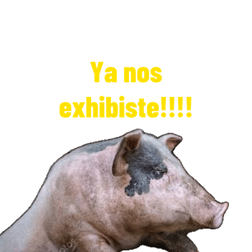 #2 del 2023 19