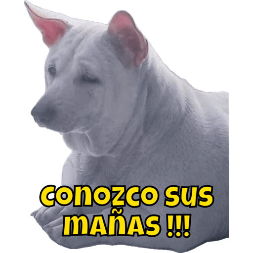 #2 del 2023 28