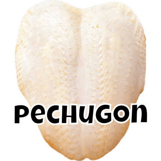 #2 del 2023 30