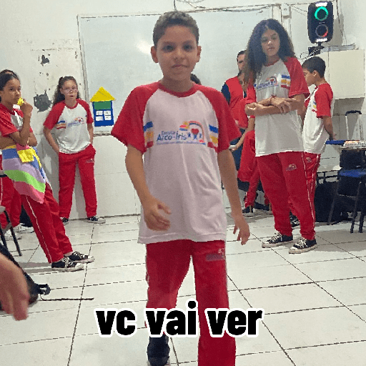 Minhas figurinhas 12