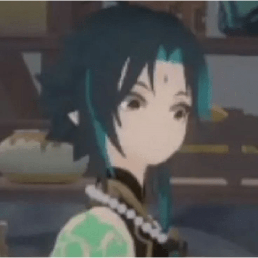 Genshin kisifudeu 14