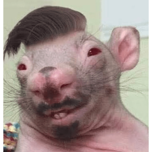 Bbbbb 8