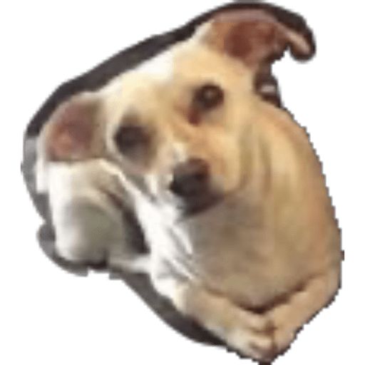Bbbbb 6