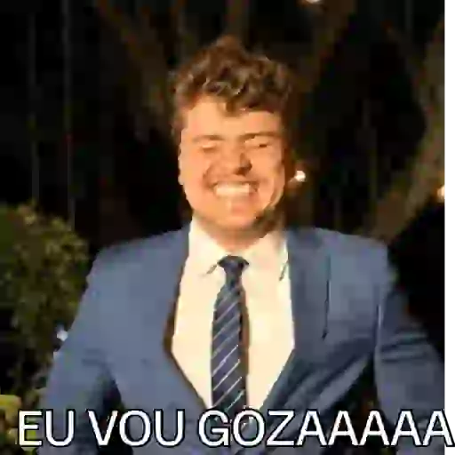 Minhas figurinhas 8