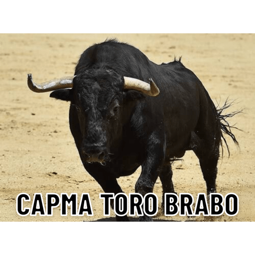 Kkkk 1