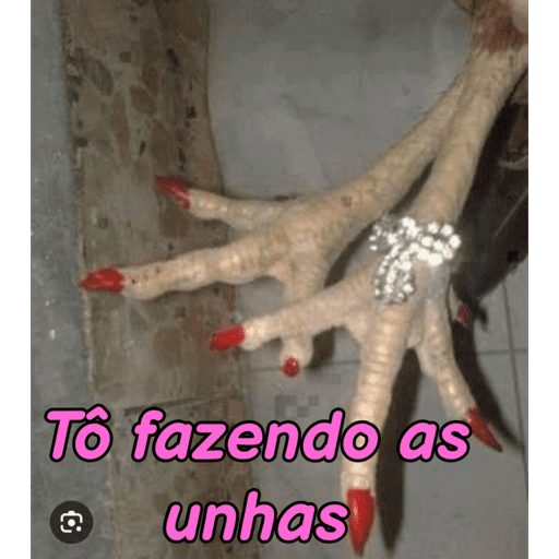 Minhas figurinhas 10
