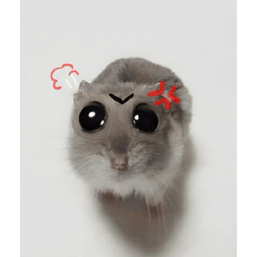 Hamster 🎀🩷 sticker