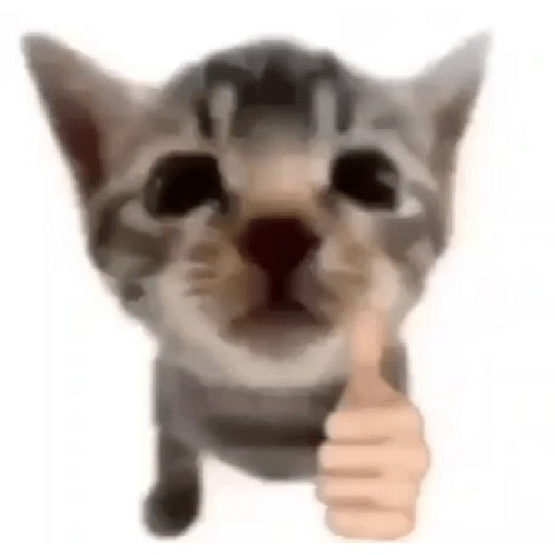 Random 11