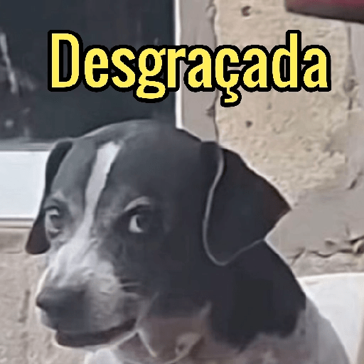 Reações Engraçadas🤣👇 9