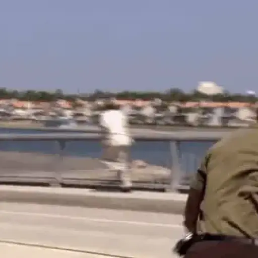 Doakes & Dexter 10