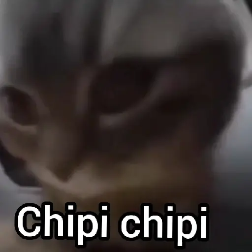 😸Gato chipichipi 2 ✨