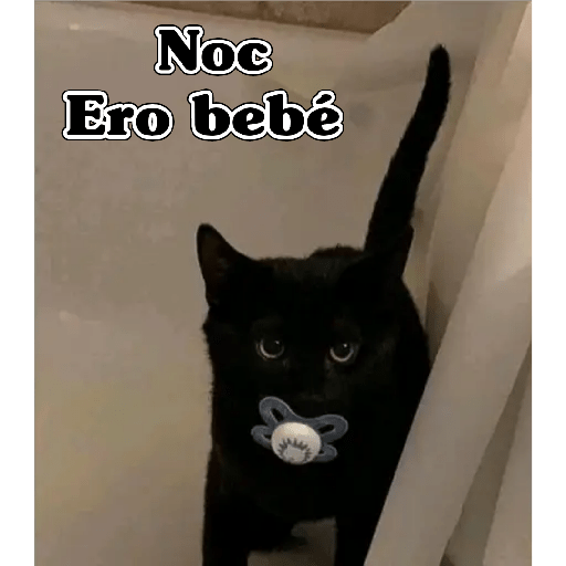 💫 Memes Gatos #4❣️ 26