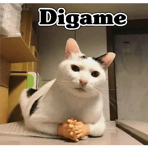 💫 Memes Gatos #4❣️ 17