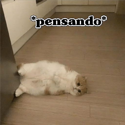 💫 Memes Gatos #4❣️ 19