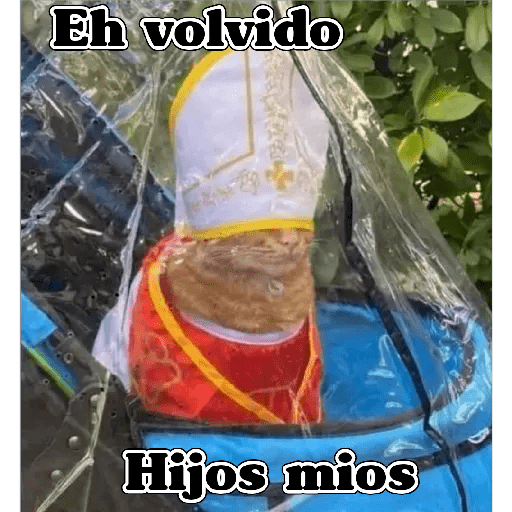 💫 Memes Gatos #4❣️ 6