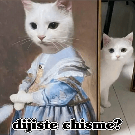 💫 Memes Gatos #4❣️ 9