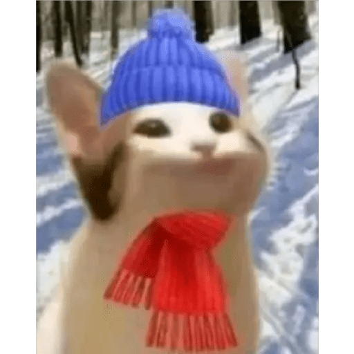 💫 Memes Gatos #4❣️ 28