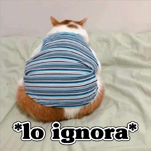 💫 Memes Gatos #4❣️ 12