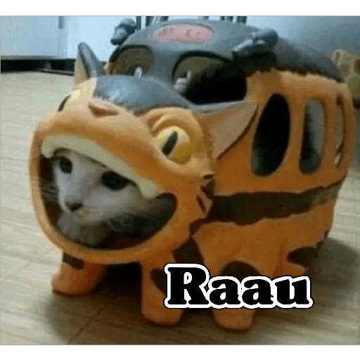 💫 Memes Gatos #4❣️ 5