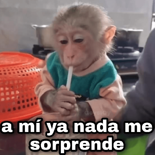 💫🙈 monos memes✨🐒